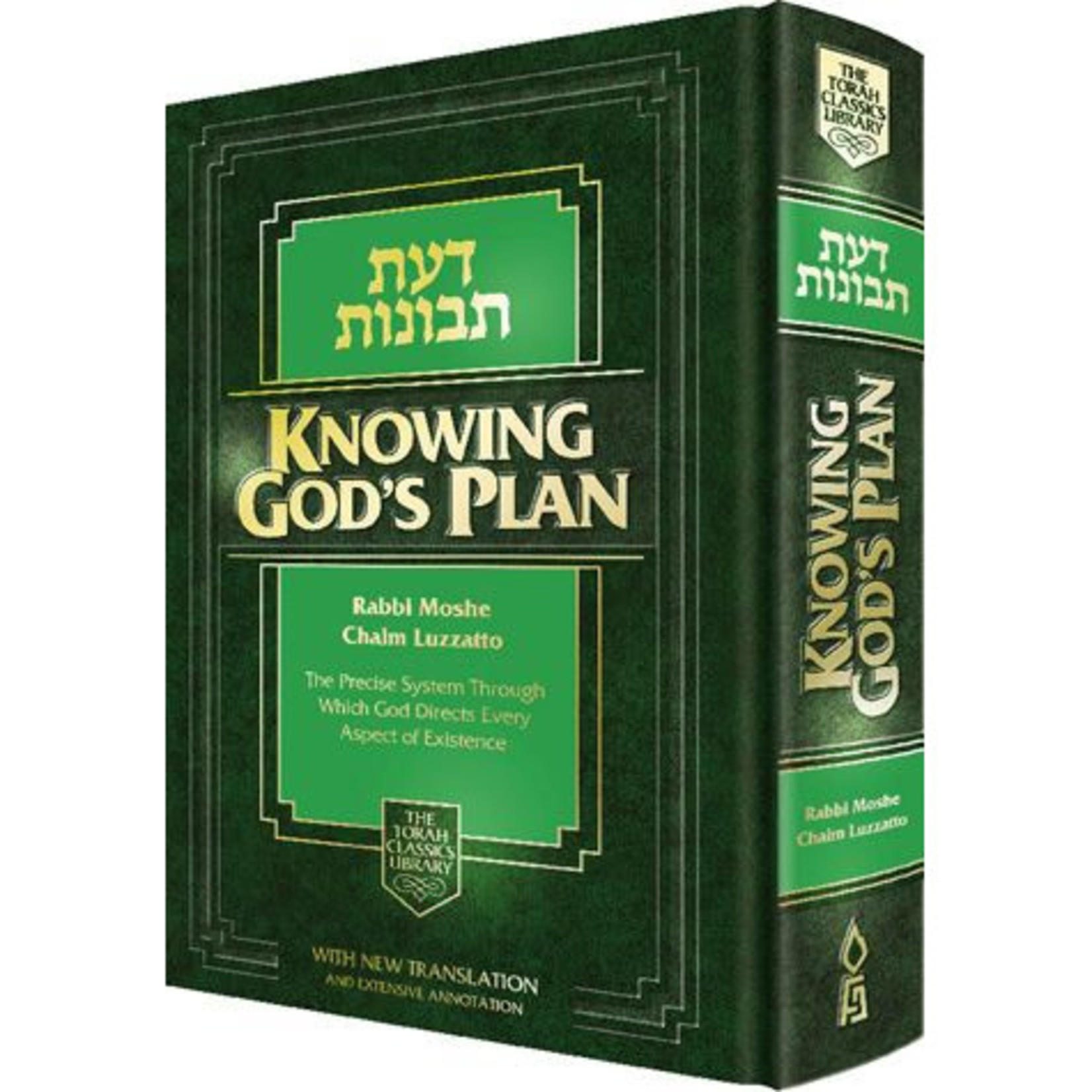 Knowing God's Plan