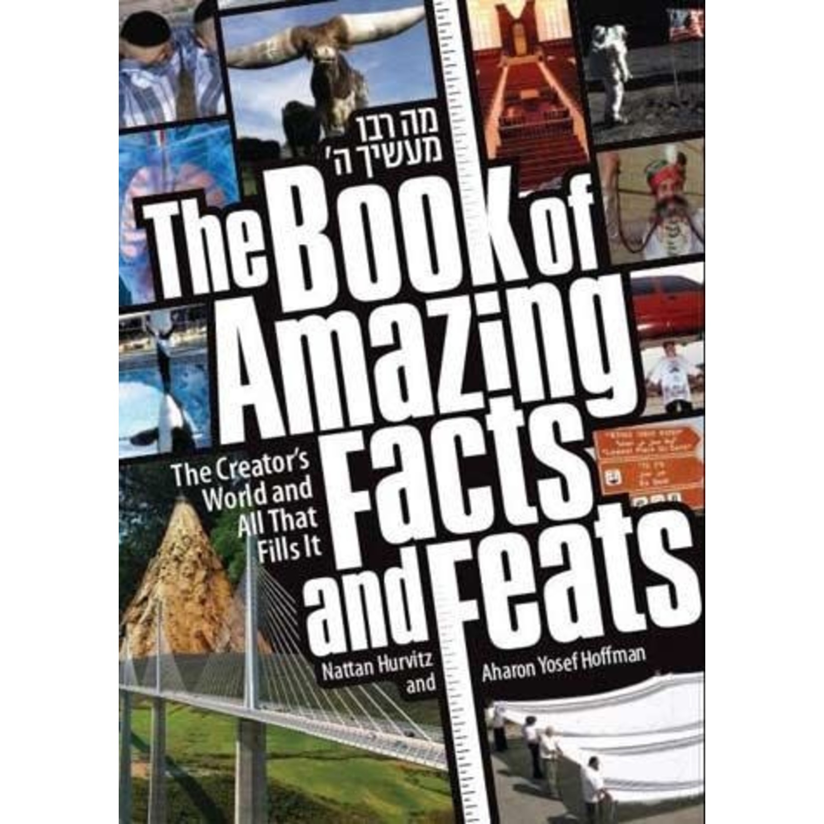 Book of Amazing Facts and Feats #1