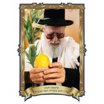 Sukkah Poster, Rav Ovadia Yosef