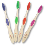 Shabbat Toothbrush