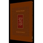 Koren Steinsaltz Five Megillot, Personal Size Paperback