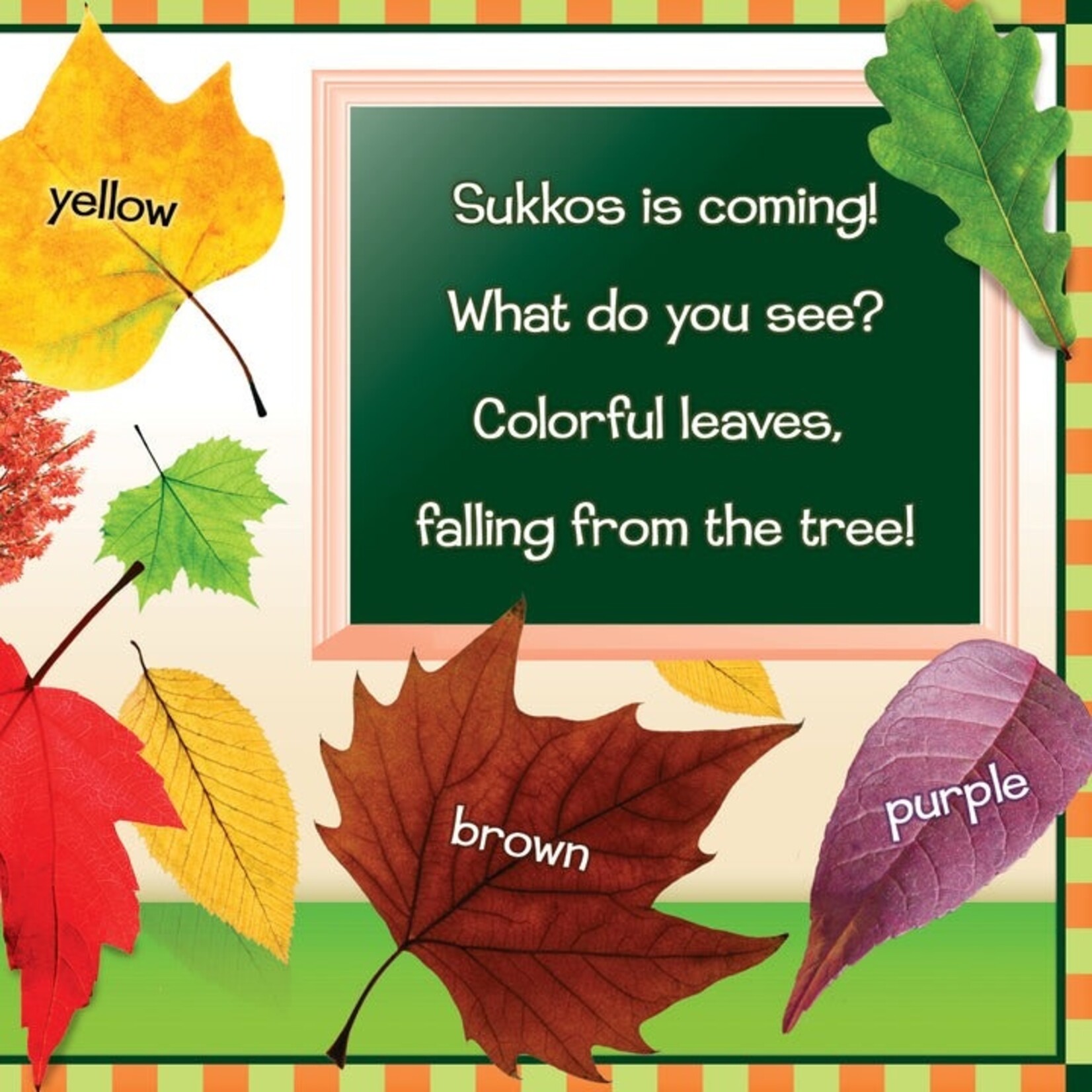 What Do You See on Sukkos?