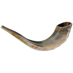 Shofar, Size 2