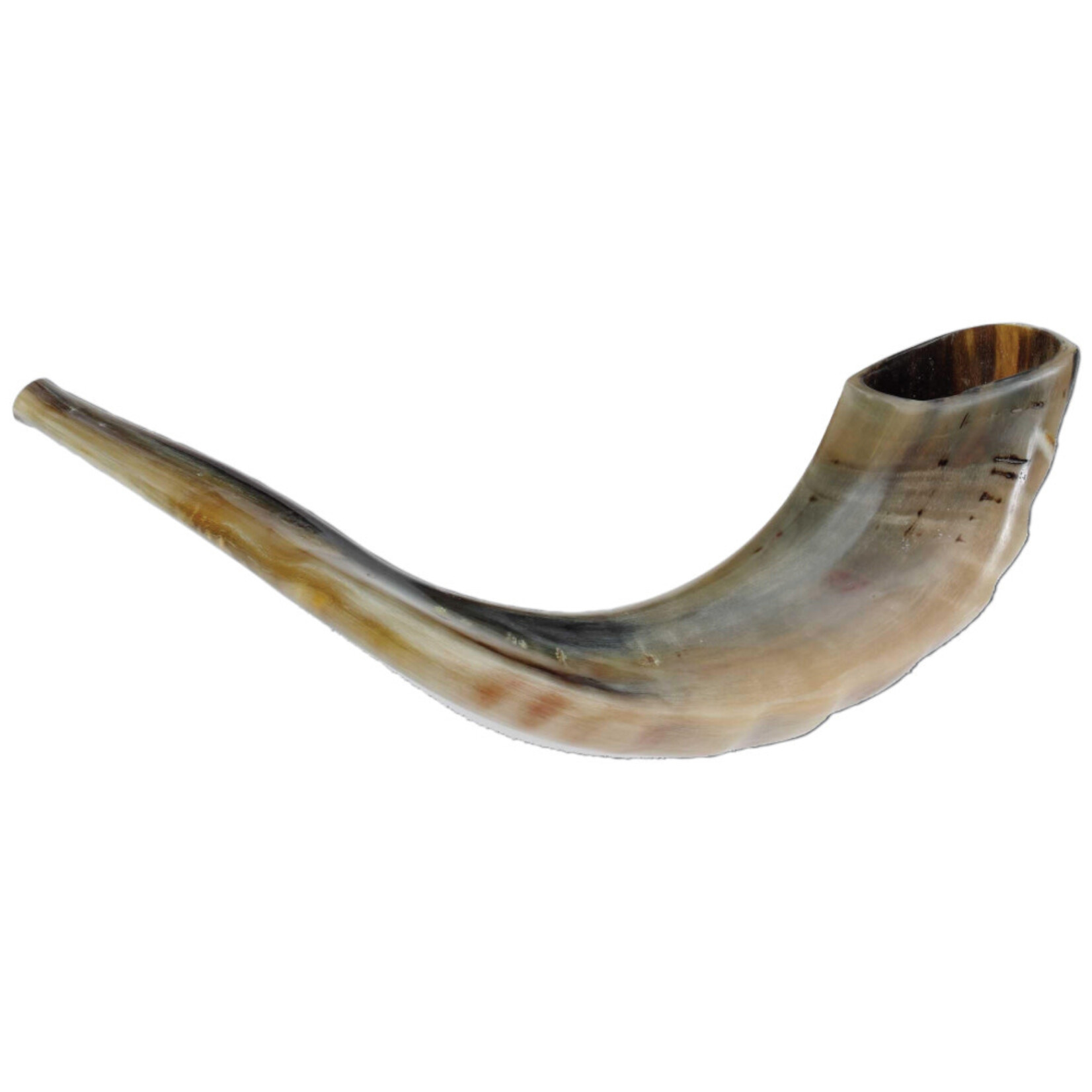 Shofar, Size 2