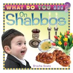 What Do You See? On Shabbos