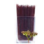 Honey Stick 6-Pack,  Buckwheat