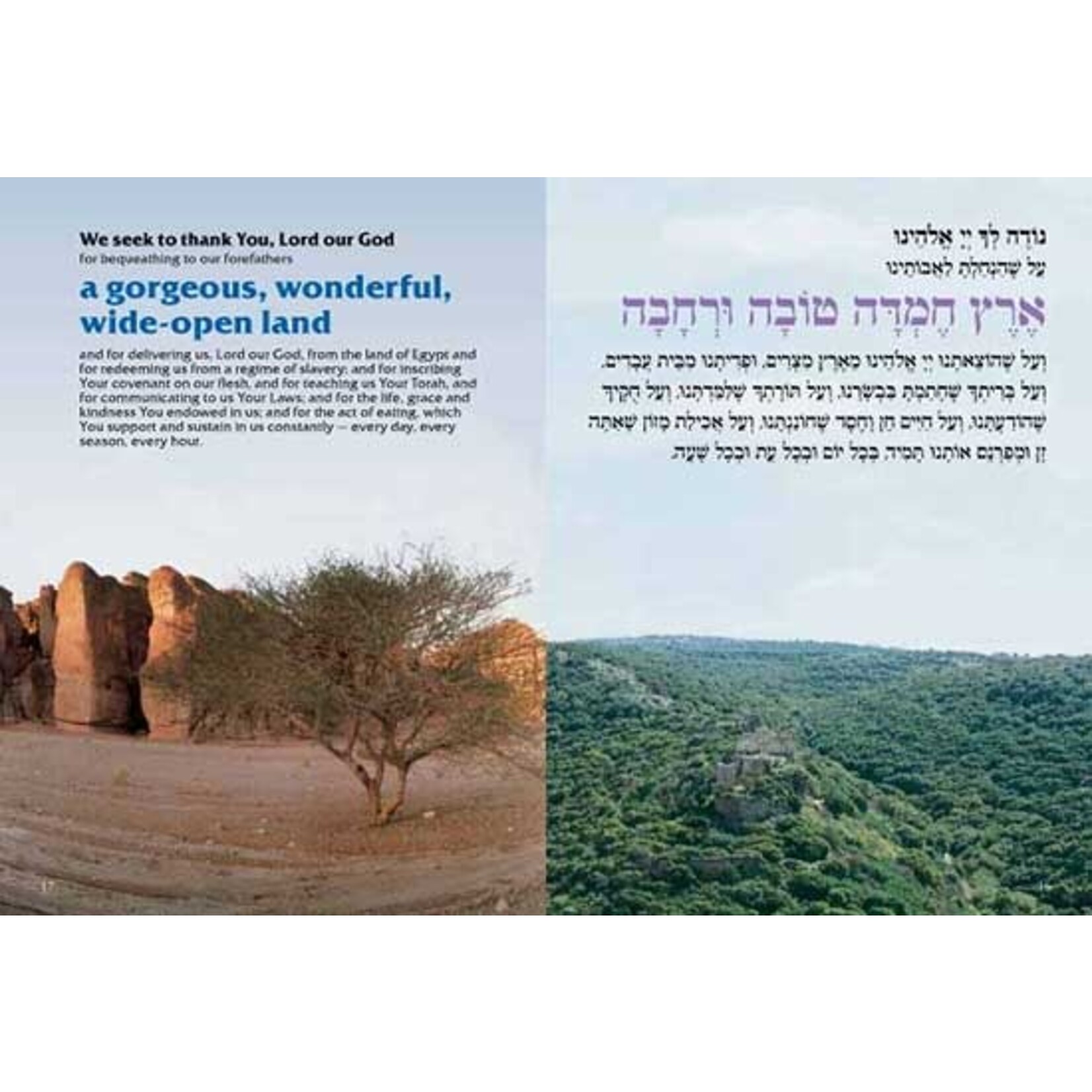 Nevarech Bencher