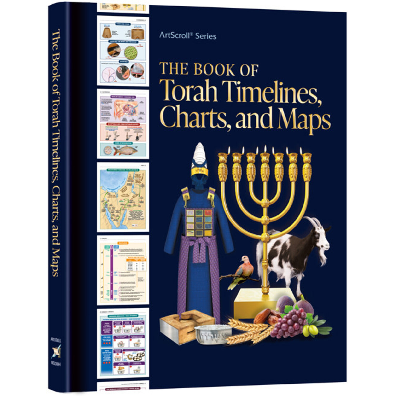 The Book of Torah Timelines, Charts, and Maps (paperback)