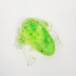 Passover Squish Frog