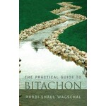 Practical Guide to Bitachon