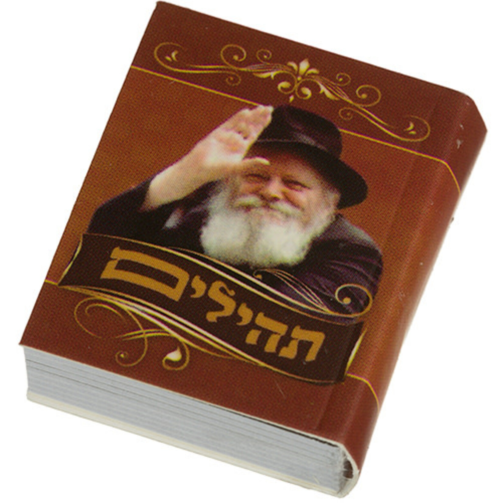 Tehillim Book, Rebbe