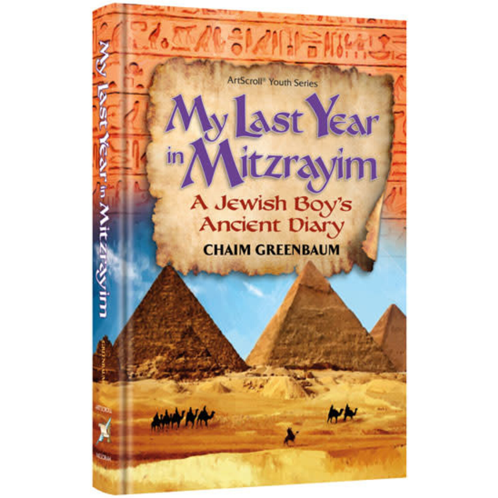 My Last Year in Mitzrayim