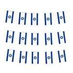 Israel Bunting Banner String Flags, 25 Feet