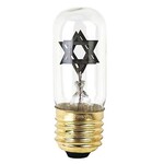 Memorial Lamp Bulb