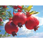 Laminated Sukkah Poster, Pomegranates, 18x24 inches