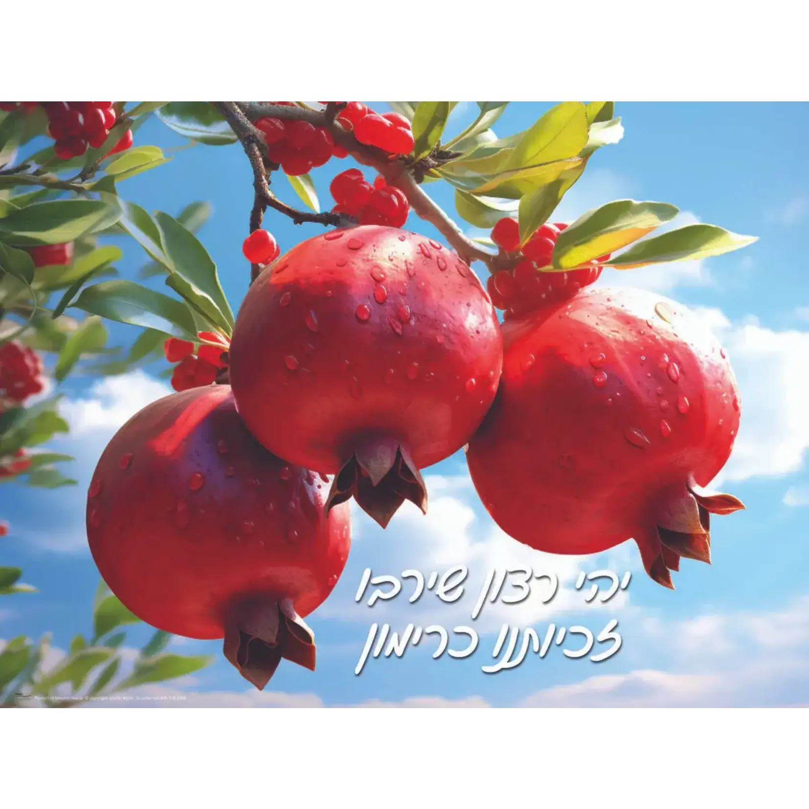 Laminated Sukkah Poster, Pomegranates, 18x24 inches