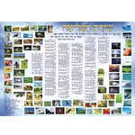 Laminated Sukkah Poster, Perek Shira, 20x28 inches