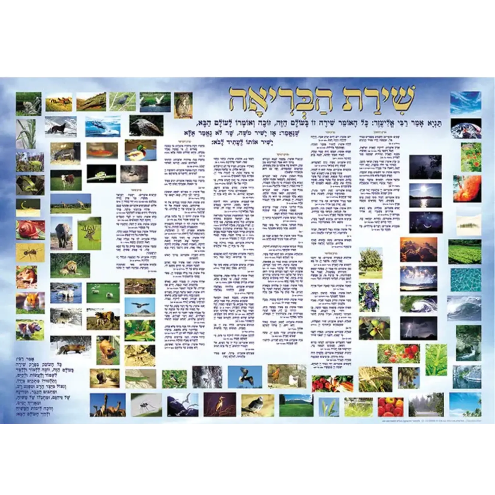 Laminated Sukkah Poster, Perek Shira, 20x28 inches