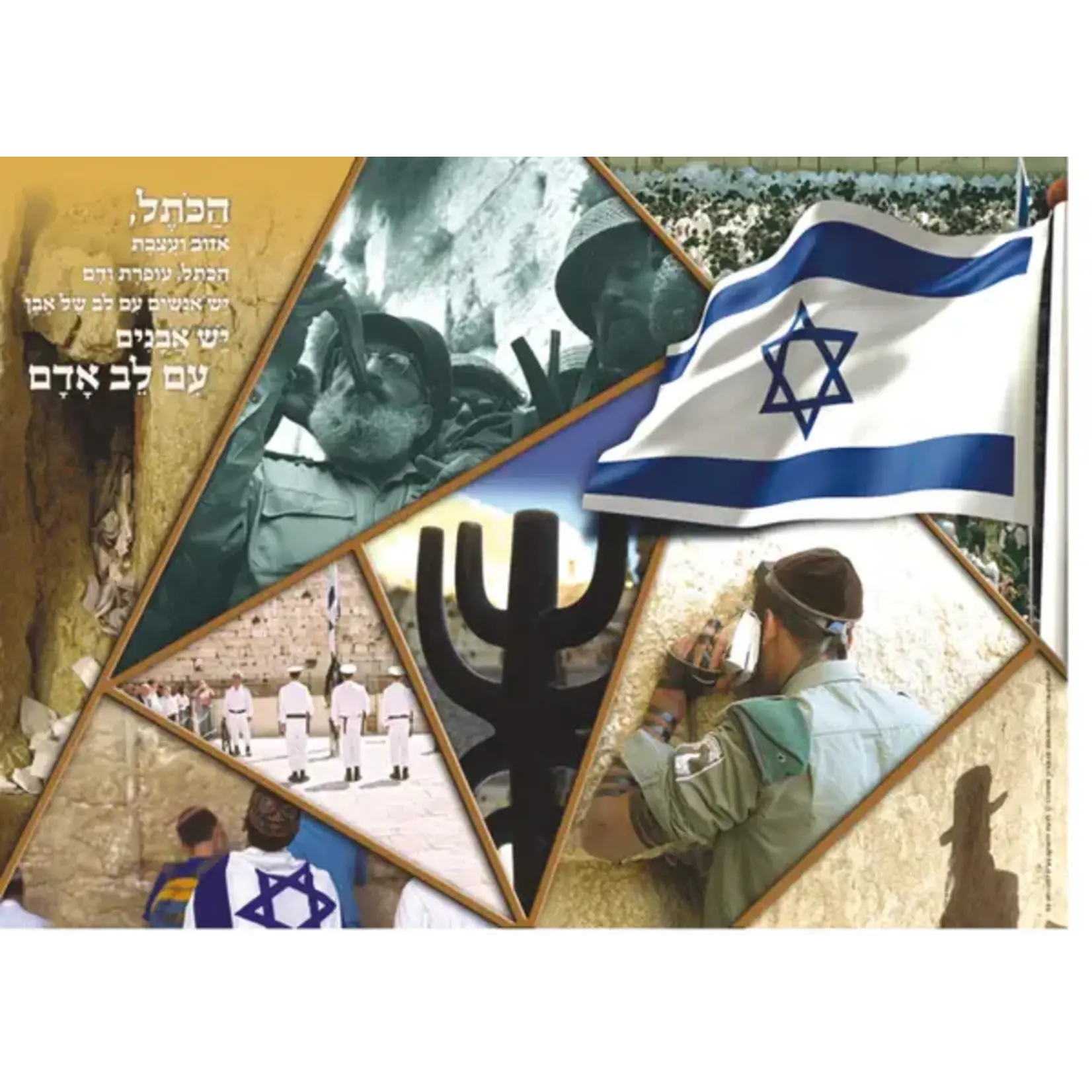 Laminated Sukkah Poster, Kotel, 20x28 inches