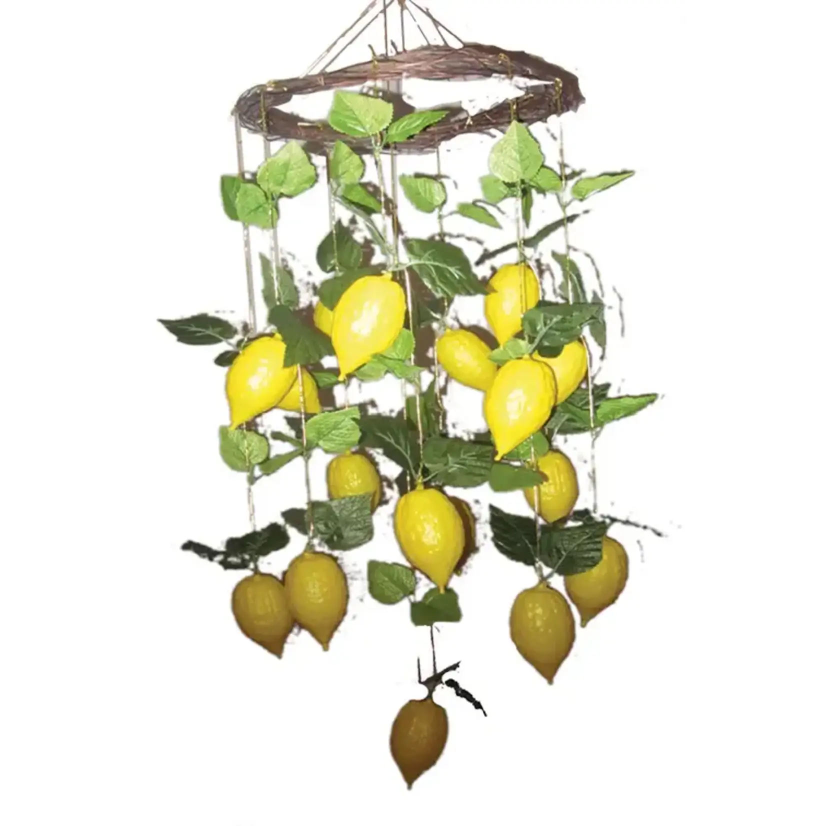 Hanging Etrogim, 30 inches