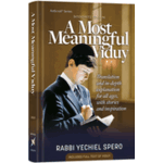 A Most Meaningful Viduy