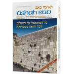 Tishah B'av: Texts, Readings, And Insights