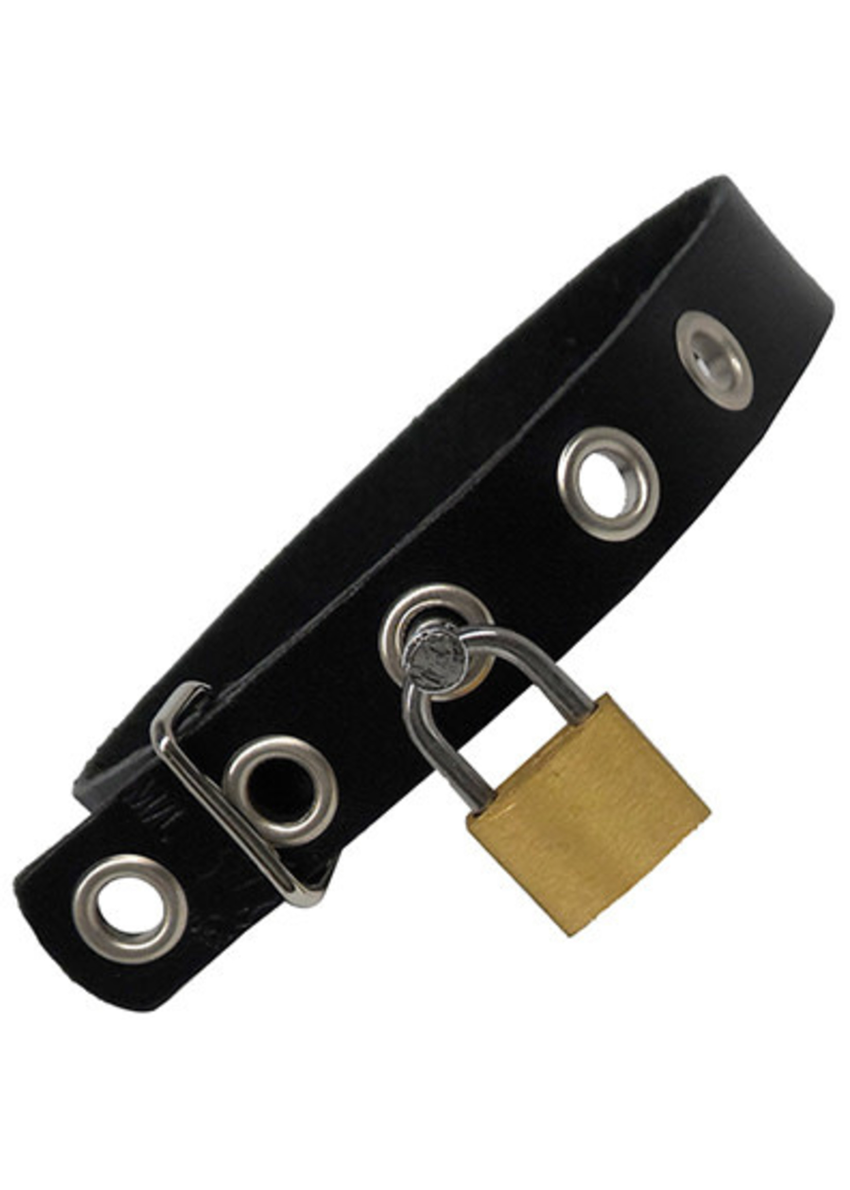 Kookie INT'L Kookie Leather Collar/Armband with Grommets and Lock