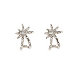 31412 14K WHITE GOLD .12CT DIAMOND STARBURST HOOK SCREWBACKS