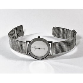 10053 SKAGEN WATCH MIRROR BEZEL MESH WATCH BAND LADIES WATCH