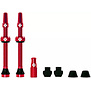 Tubeless Valve Kit: Red, fits Road and Mountain, 60mm, Pair