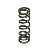 LS Coil Spring 450x2.5
