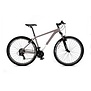 The Mountain Bicycle