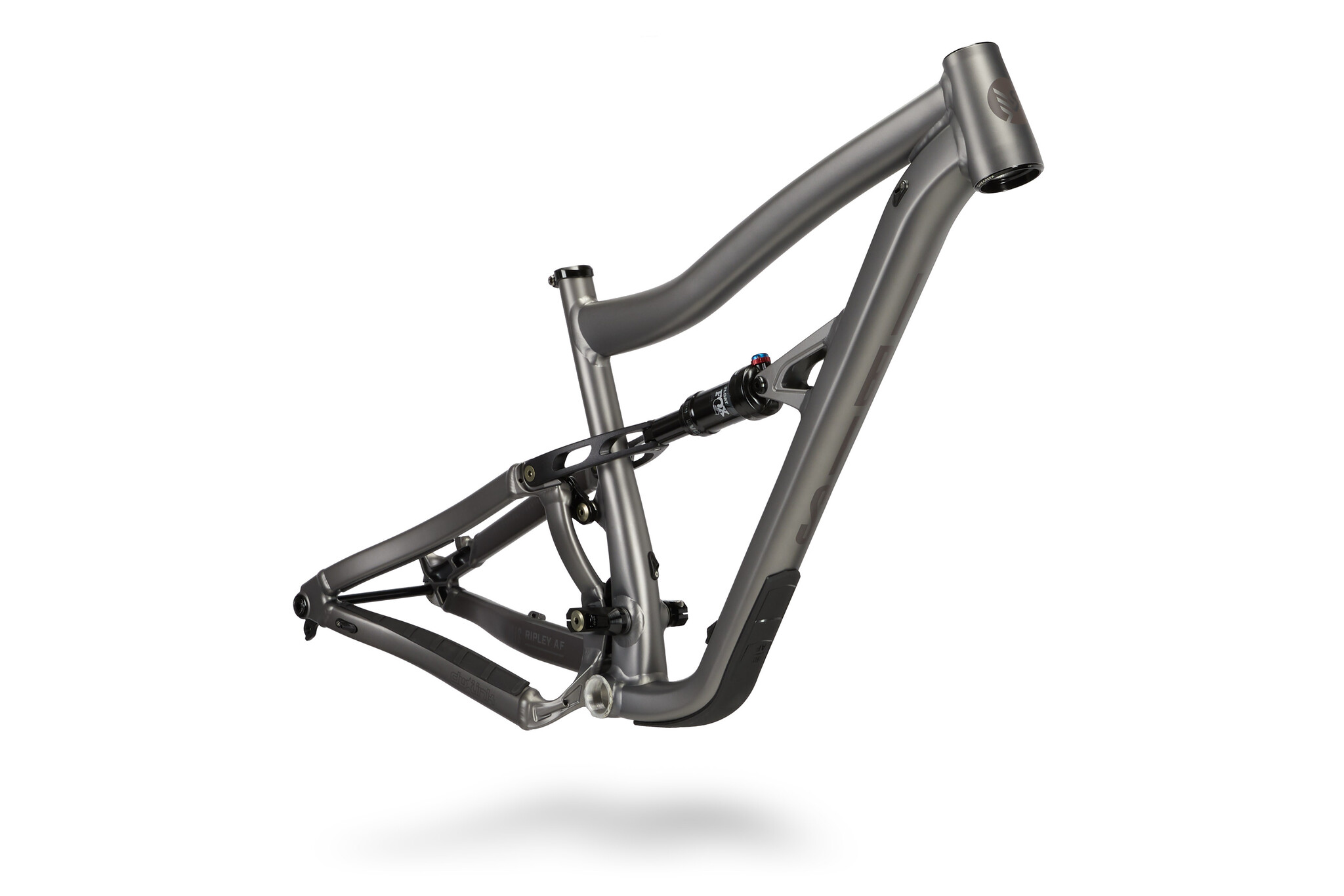 ECOM Ripley AF 2024 N 1 Bikes