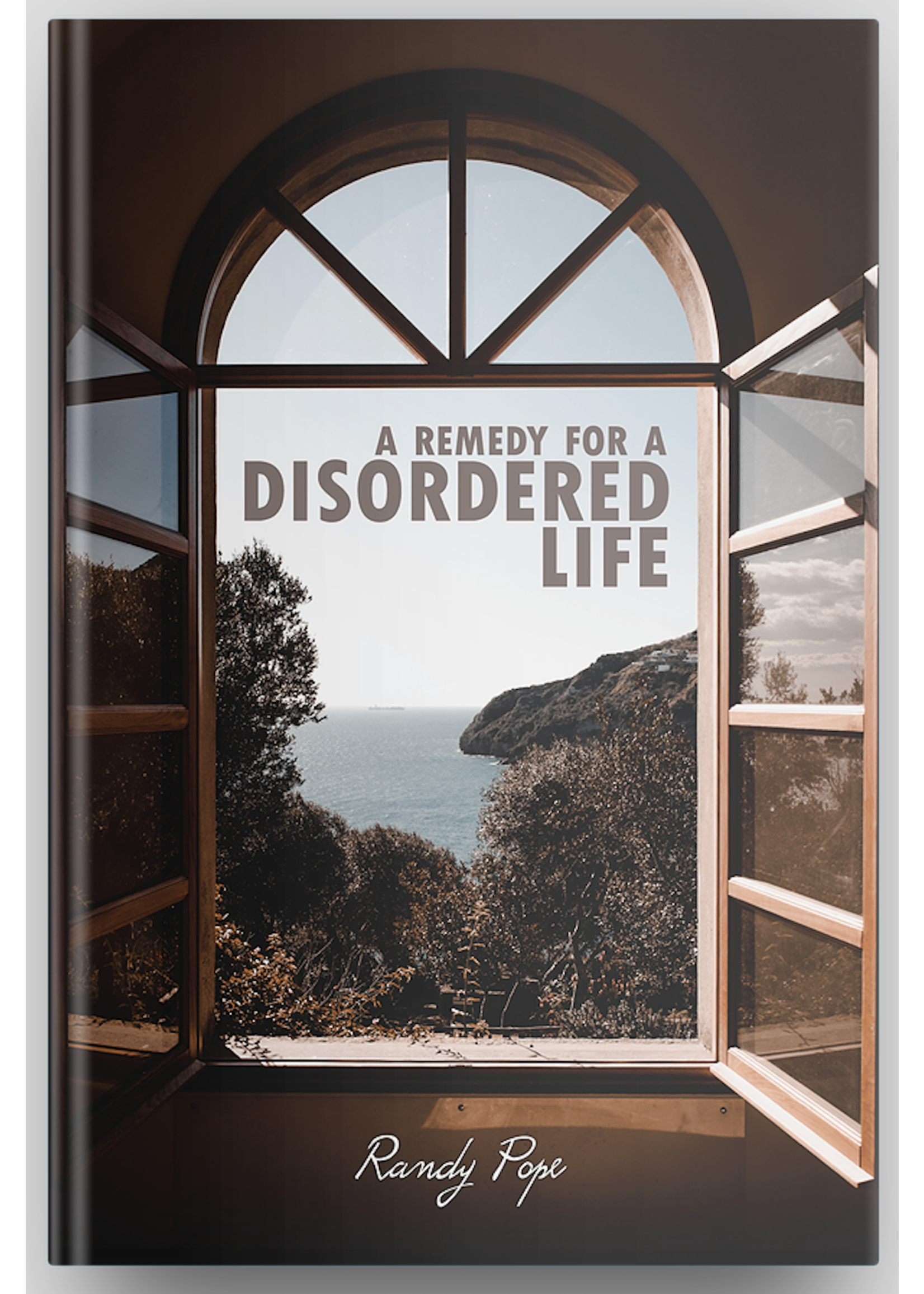 life on life A Remedy for a Disordered Life