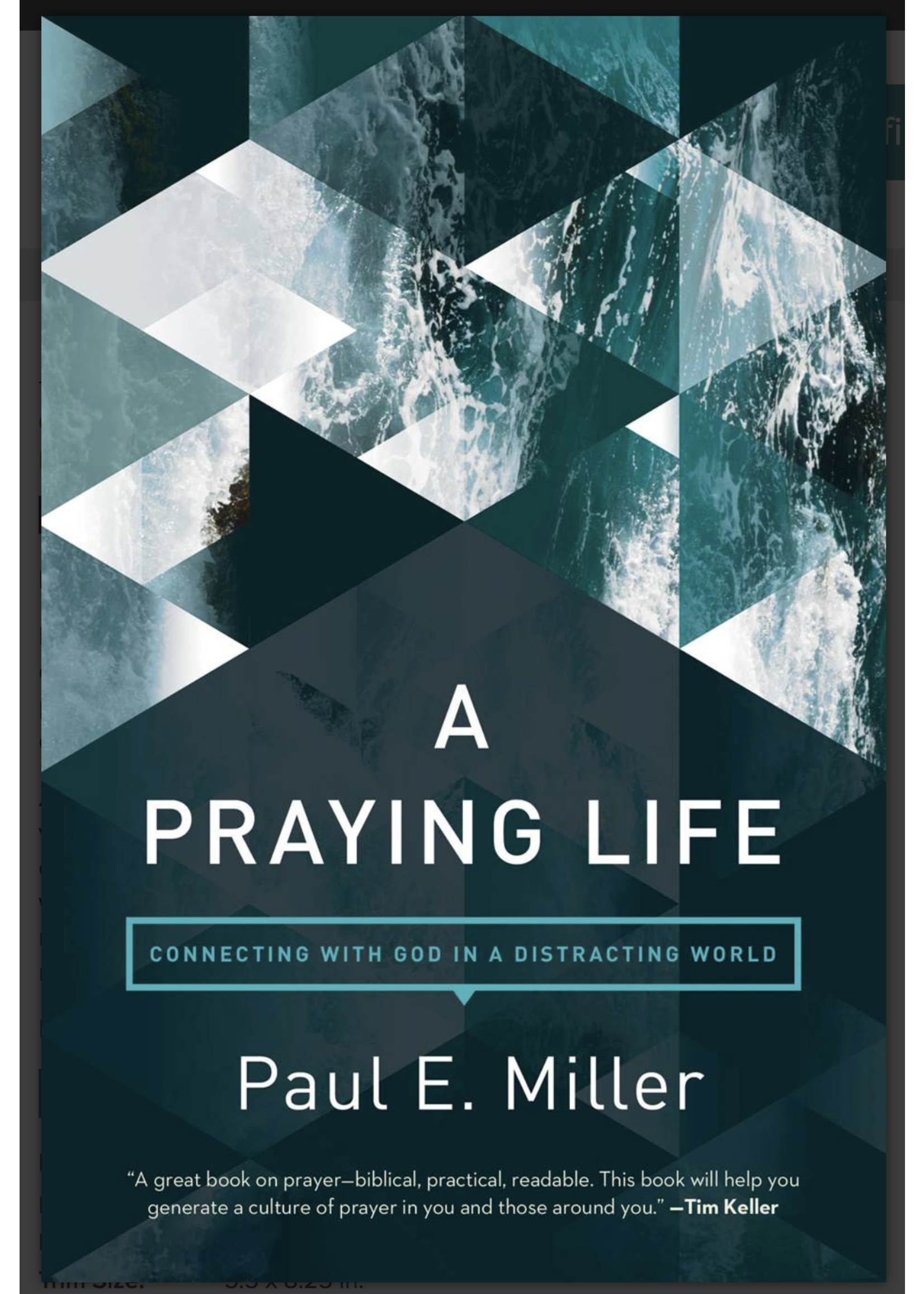 Miller, Paul A Praying Life Connecting with God in a Distracting World