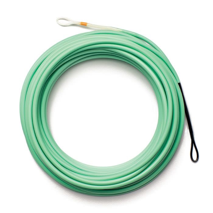 Airflo Skagit Driver Head