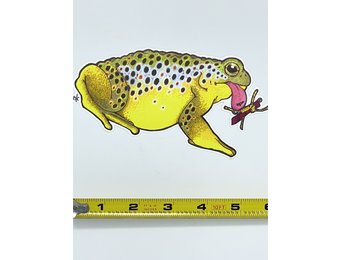 Nate Karnes Brown Trout Toad Sticker