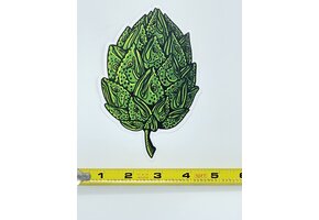 Casey Underwood Trout Hops