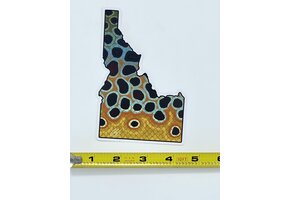 Casey Underwood Idaho Brown