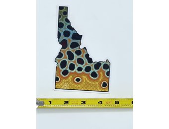 Casey Underwood Idaho Brown