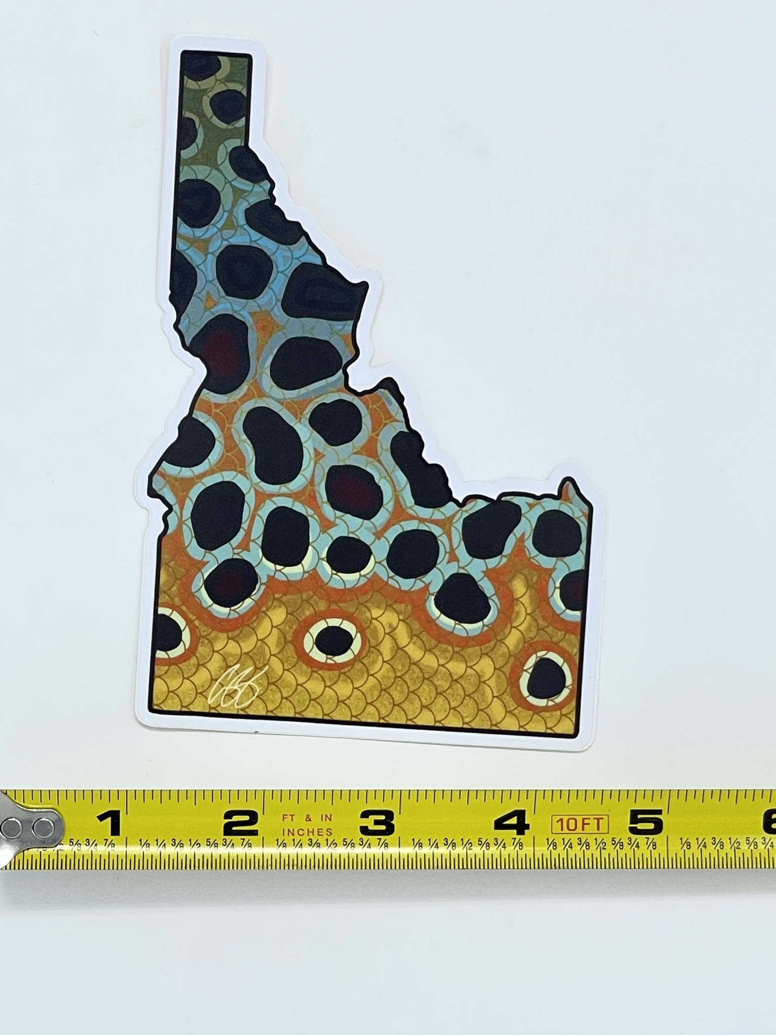 Casey Underwood Idaho Brown