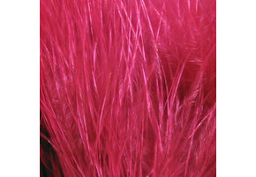 Hareline Strung Marabou Blood Quills Wine