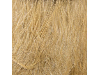 Hareline Strung Marabou Blood Quills Tan