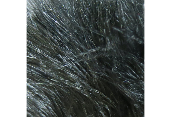 Hareline Strung Marabou Blood Quills Black