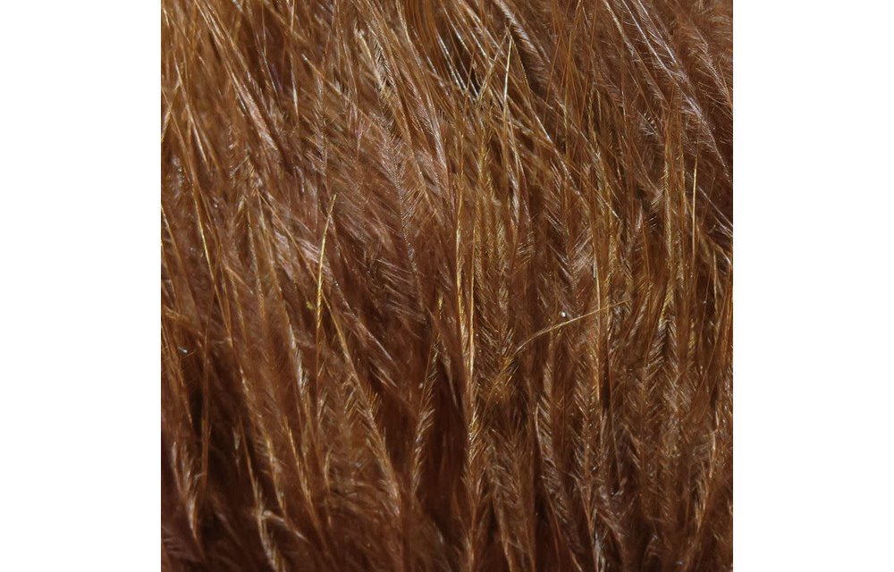 Hareline Strung Marabou Blood Quills Brown