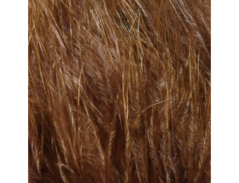 Hareline Strung Marabou Blood Quills Brown