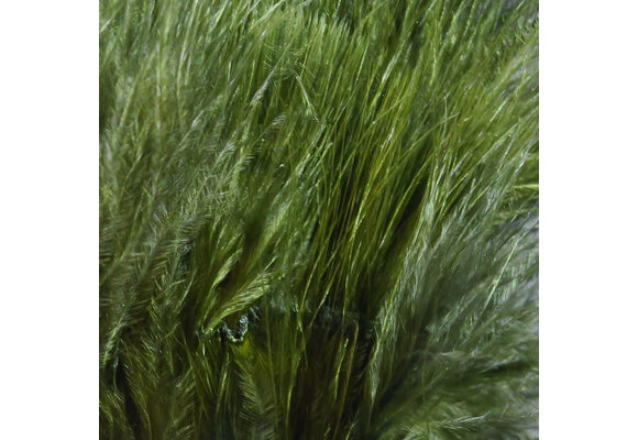 Hareline Strung Marabou Blood Quills Dark Olive