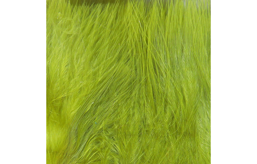 Hareline Strung Marabou Blood Quills Gold Olive