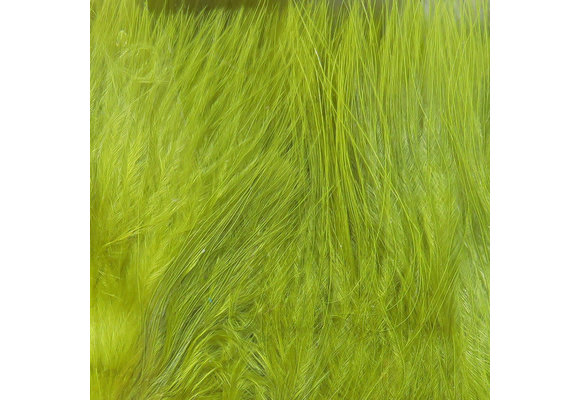 Hareline Strung Marabou Blood Quills Gold Olive