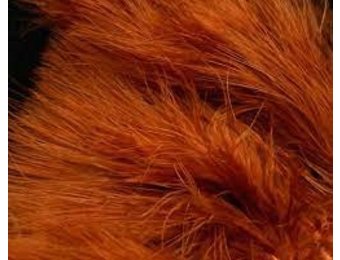 Hareline Strung Marabou Blood Quills Medium Brown
